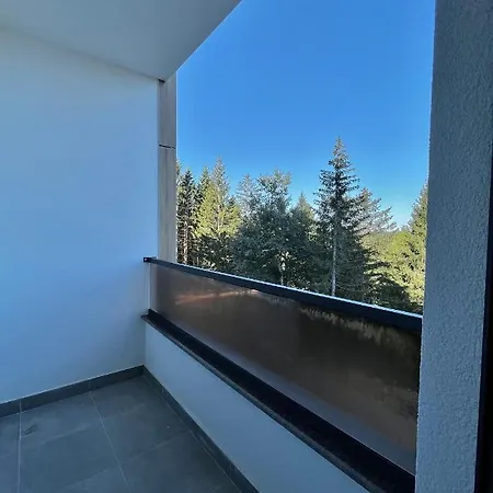 Trebevic Nature 公寓 塞拉耶佛